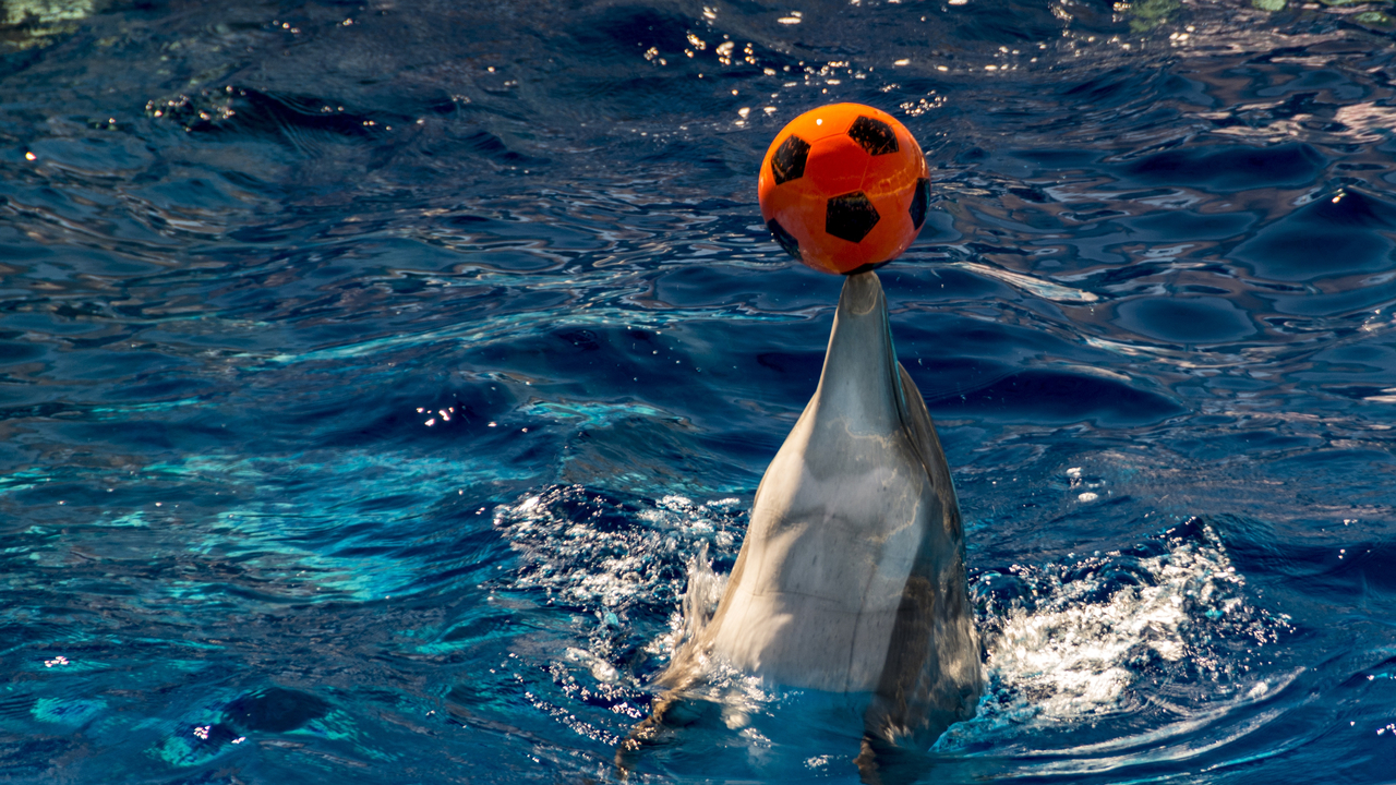 20160217-110445••Fort Walton Beach•Florida•USA